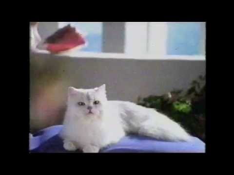 Fancy Feast Gourmet Cat Food commercial (1999)