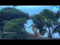 Vichitra Bandham Movie Songs Chikkavu Chetilo Song ANR Vanisri Anjali Devi