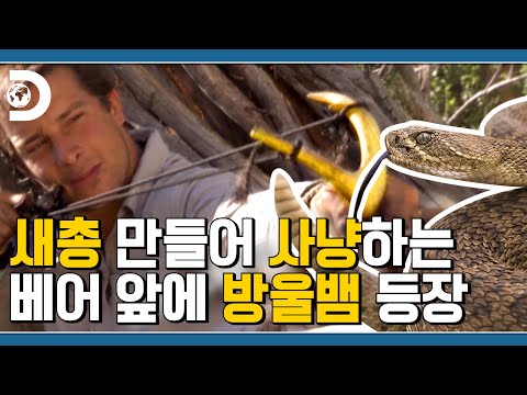 아이콘