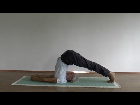 Der Pflug mit Variationen - halasana