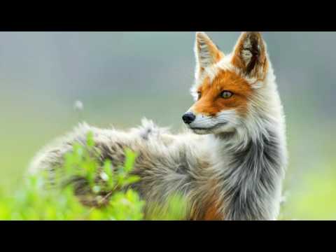 Game Music for Studying 18 [REUPLOAD]