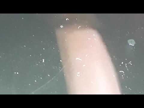 Ice Age 2 The Meltdown Part 12