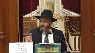 הלכה והשקפה | הרב עידן בן אפריים | הפרשת חלה - מה עושים במידה ושוכחים ועוד - ה' אייר תשפ"ו