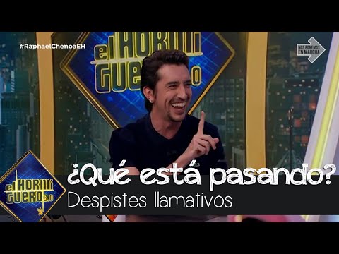 Los terribles despistes de Marron y Pablo Motos que te harán reír a carcajadas - El Hormiguero 3.0