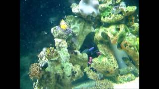 Everybody has to eat