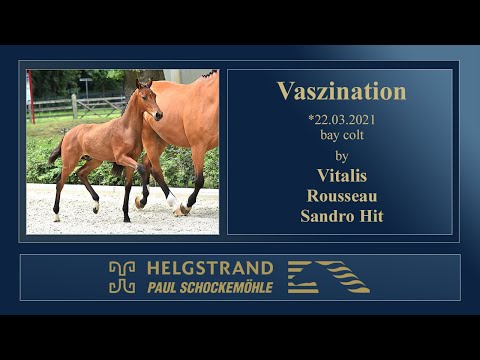 19 Vaszination by Vitalis - Rousseau - Sandro Hit