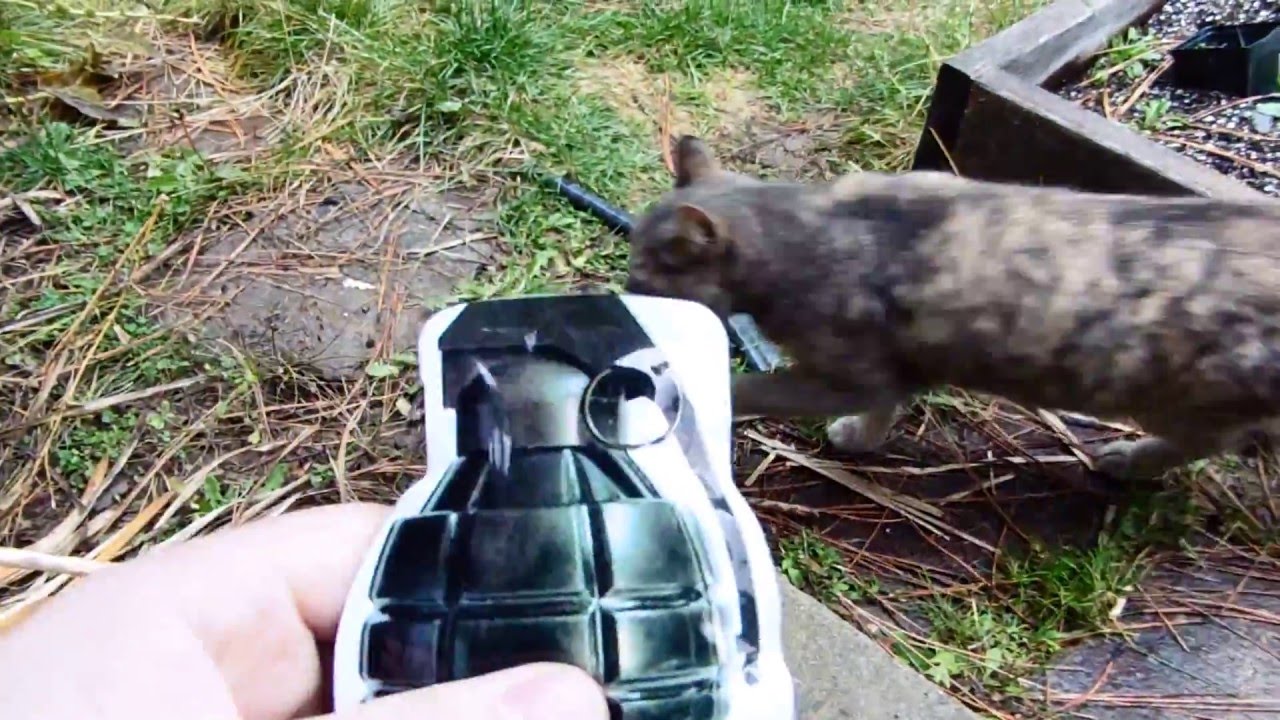 BOMB BAG GRENADE REVIEW!