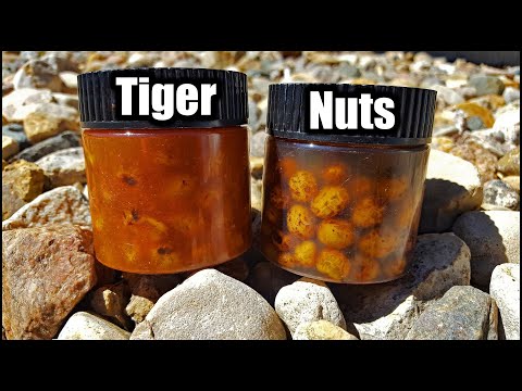 How to Make FLAVORED Tiger Nuts for Carp Fishing! (Home Made Carp Bait)