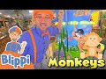 Learning Animals With Blippi In The Indoor Amusement Park Educational Videos For Kids