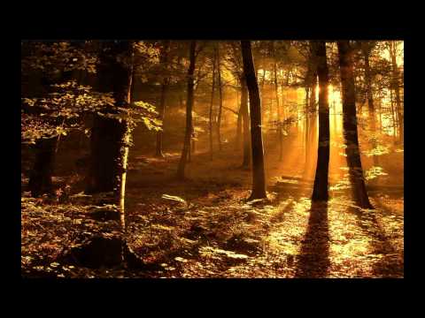 Tune of The Week #15 Moonbeam - Hate is the Killer (Arty Remix) [HQ]