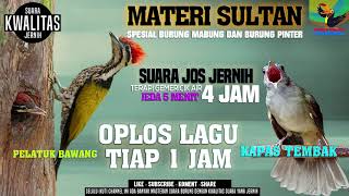 Download lagu MASTERAN SULTAN || PELATUK BAWANG VS KAPAS TEMBAK || Durasi 4 jam || Tiap Lagu 1 jam || ANTI NYESEL mp3