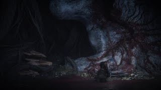 ELDEN RING™ Moonlight Princess