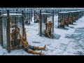 Genius Prisoners Pulled Off The Perfect Escape From The World S Most Impossible Prison
