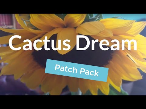 Cactus Dream Sound Pack for the Sequential Prophet 6