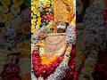 Shyama Preet Main Tose Laga Baitha Hun Shree Krishna New Status Shri Krishna WhatsApp Status