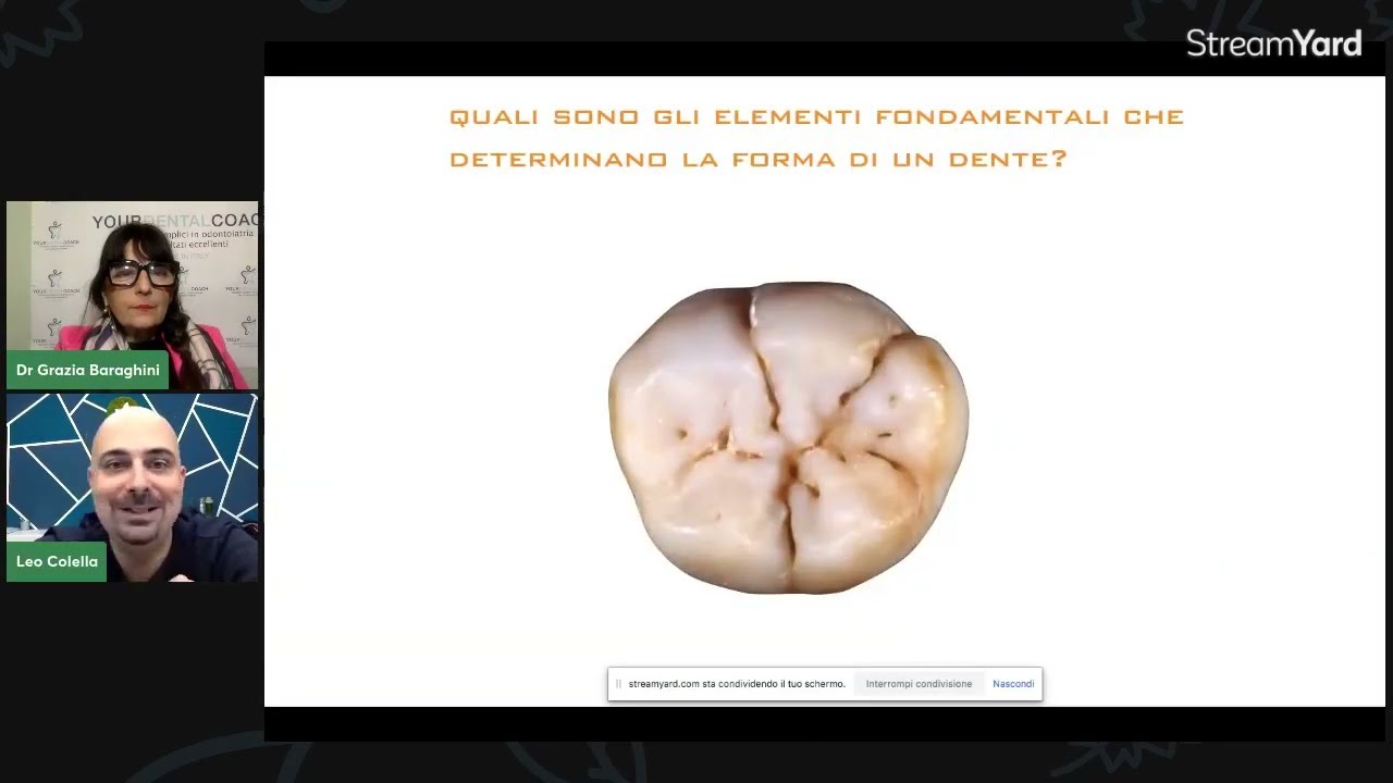 Handmade: anatomia e stratificazione dei settori posteriori