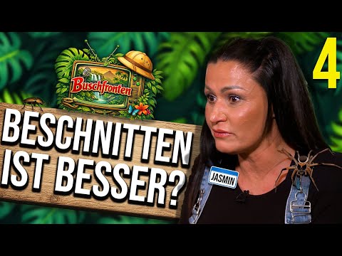 Was JASMIN HERREN wirklich denkt - Buschfronten Folge 4