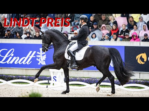 Was für eine Kür! Justin Verboomen & Zonik Plus siegen beim Lindt-Preis 🥇 | CHIO Aachen 2025 Finale
