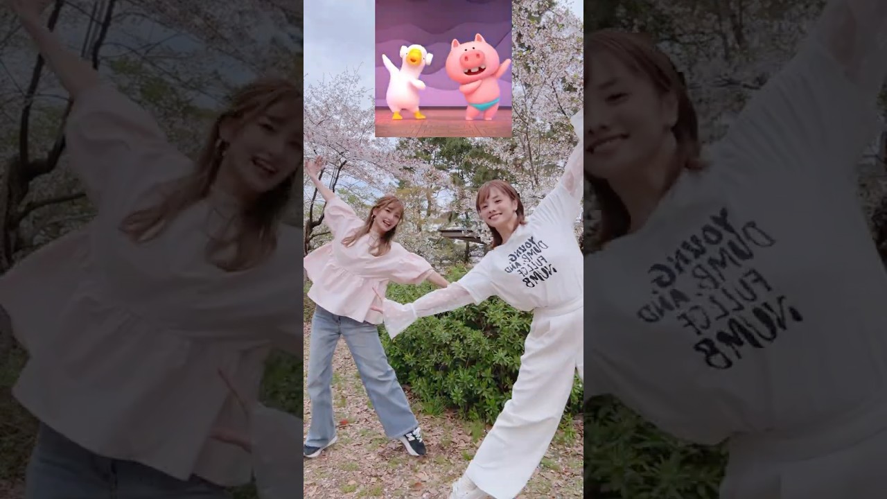 鳥🐔と豚さん🐖👯‍♀️#バレエダンサー #バレエ #踊ってみた #balletdancer #ballet