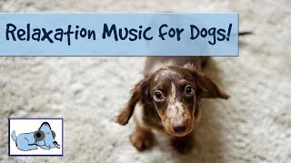 New Music - Relaxation Music for Dogs. Stop Barking, Crying and Separation Anxiety with our Music!