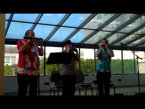 The Harmaniacs Harmonica Trio - "Caravan"