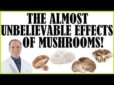 , title : 'The Almost Unbelievable Effects Mushrooms With Dr Joel Fuhrman!