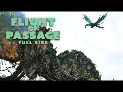 Flight Of Passage | Animal Kingdom | Full Ride POV