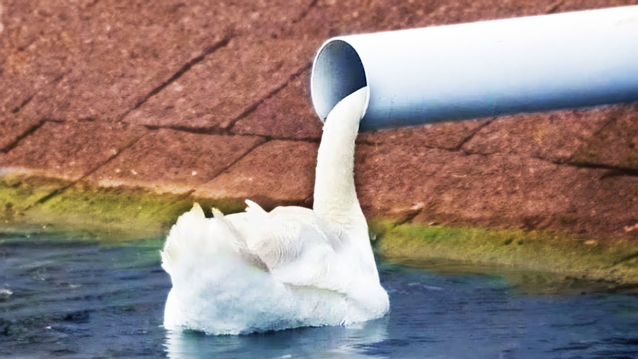 r/Funny | fix with duck tape