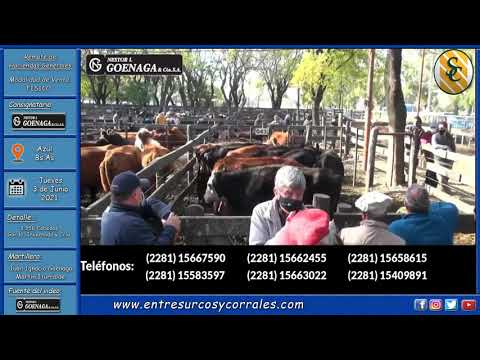 03-06-21 - Remate de Nestor I. Goenaga & Cía. S.A. - Azul, Bs.As.