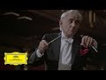 Leonard Bernstein, Wiener Philharmoniker - Schumann: Symphony No. 3 "Rhenish": I. Lebhaft (1984)