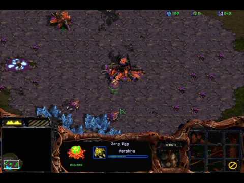 Starcraft - Zerg Mission 1: Among the Ruins