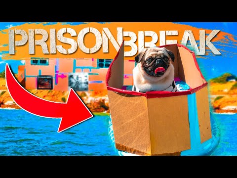 Dog Box Fort Prison Escape - EXTEME Boat Chase