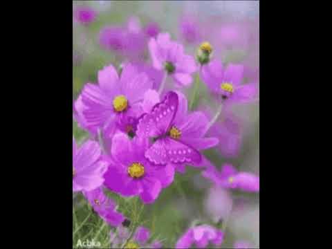 2 Samuel 7:22 Easy to Read