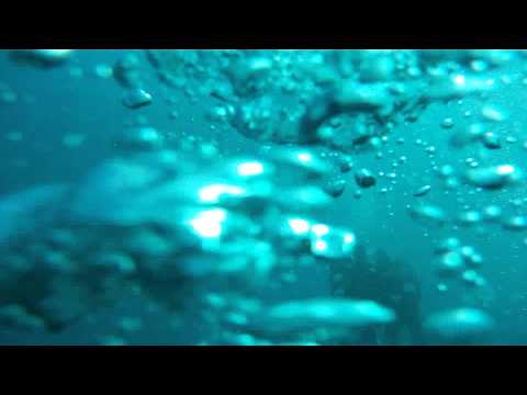 Diver run out of air and executed an Alternate Air Source Ascent