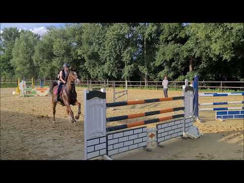 Malu (12) und Zappa - 120cm am 11.08.2021, Instagram und TikTok