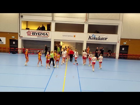 USM DJ steg 3 - Tyresö vs HK eRPing 2018-01-27, 20-14 (7-10)