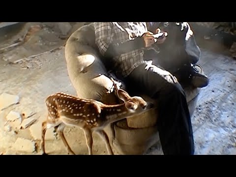 Sosad - ALLÍ (Outro)