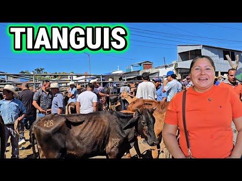 Asi es el  TIANGUIS EN SAN RAFAEL  CEDROS EL SALVADOR,  🐐🐓🐄🐓