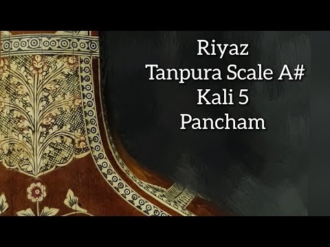 Tanpura | Scale A# | Kali 5 | Pancham