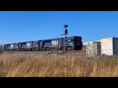 Pacific National 90 class trio returning empty coal wagons - Hunter Valley - June 10, 2022