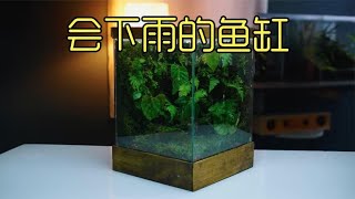 沉浸式开缸，打造一个会下雨的生态缸，这个创意值几分？