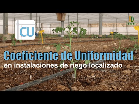 CU video thumbnail