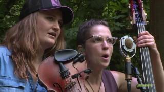 Della Mae - Boston Town - 2016 Northwest String Summit