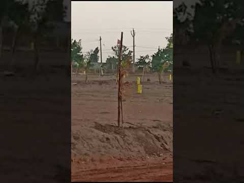 Walkthrough Walkthrough