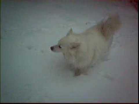 princeton ma snow 3-16-07