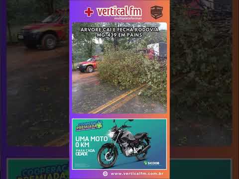 ÀRVORE CAI E FECHA RODOVIA MG 439 EM PAINS