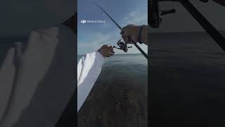 Toledo spot. #fishing #fypシ゚viralシ #fish #fishingvideo #mancing #angler #highlight #follower #beach