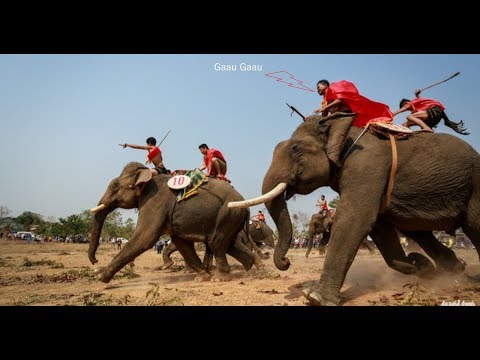 14h30 watch 496 đánh chung kết  | Kem Lov3