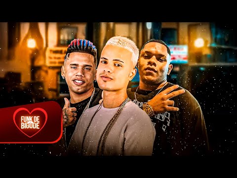 VAI ROLA UMA FESTINHA LA NA MINHA CASINHA - DANINHO, TROVÃO NO BEAT E GORDINHO BOLADO (VIRAL TIKTOK)