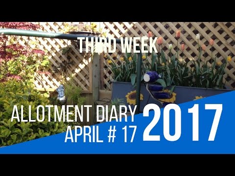 3rd Week of April